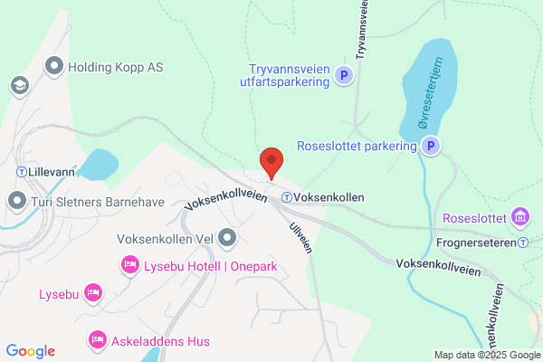 Skiservice Tomm Murstad Jr AS