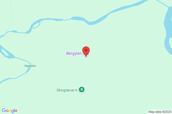 Bergedalen & Høyersten