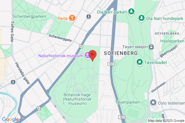 Geologiske Tjenester A/s