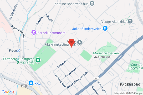 Radioinspeksjonen