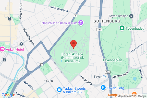 Tøyen Lærvare