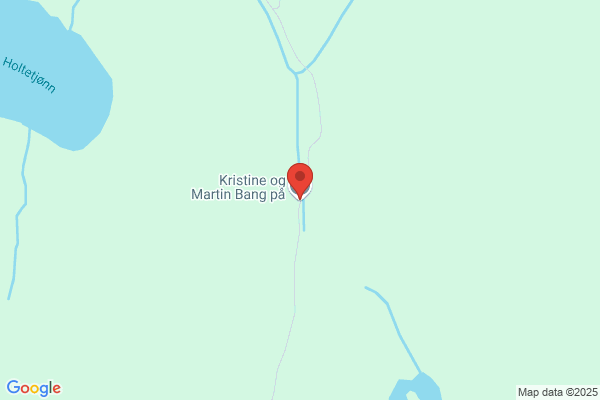 Martin Bang