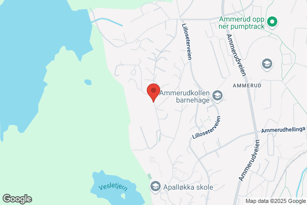 Tillgren Åge Rengjøring