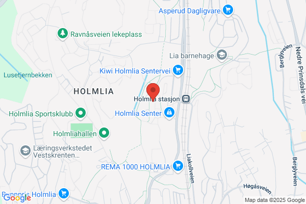Holmlia Renseri Tan Nhat Thi Tran