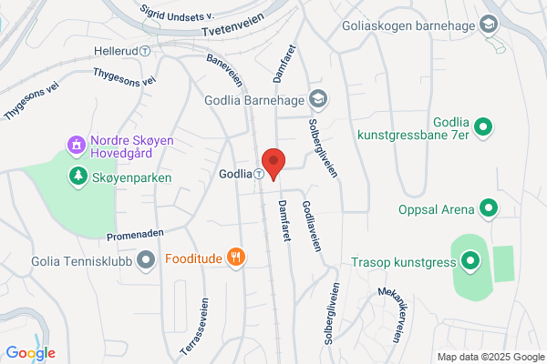 Golia Velhus A/s
