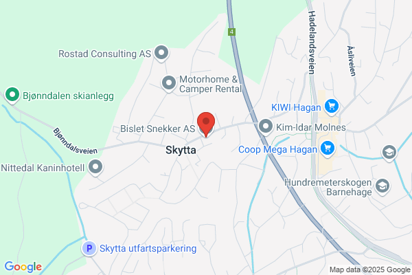 Bislet Snekker As