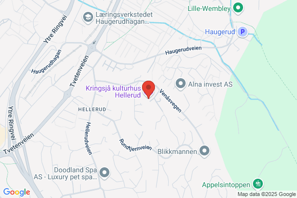Hellerud Aina