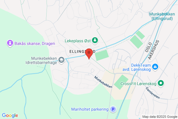 Altmuligmannstjenesten