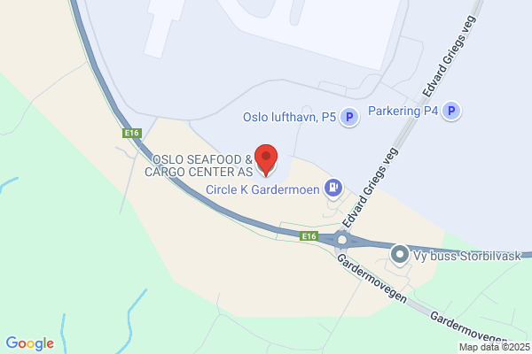 Cargoscan