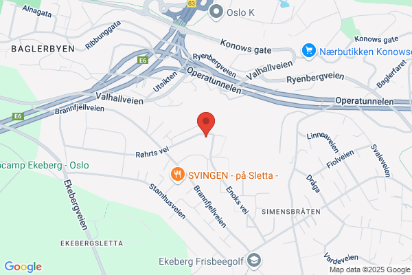 Vekt Og Kontrollsystemer