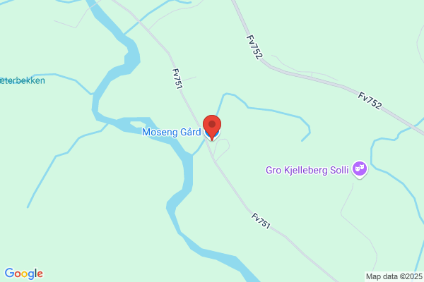 Moseng Torill