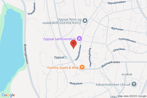 Mosengs Dyreklinikk avdeling Oppsal