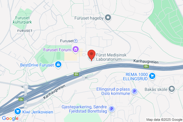 BrØdrene Furst As