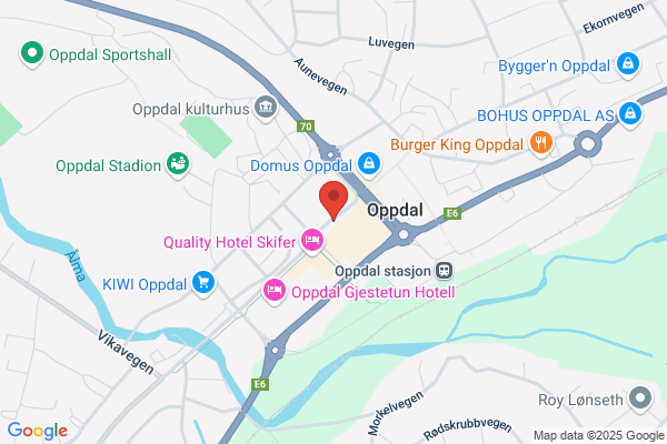 Oppdal Mikroflyimport