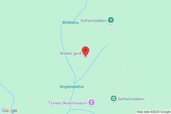 Brekke Arne Henry