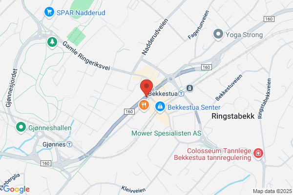 Ørsleie Regnskap