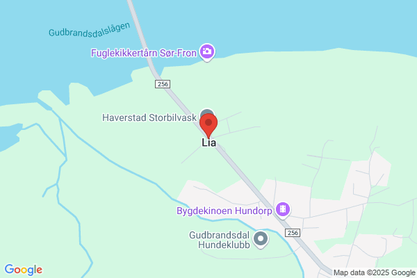 Lia Islandshestgård