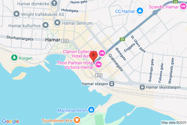 Mat 1 Hamar As