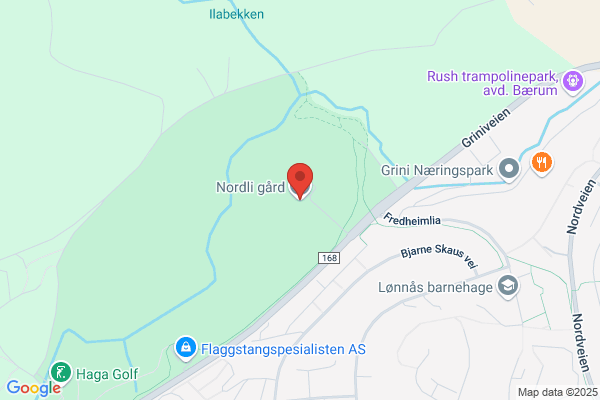 Nordli Geir