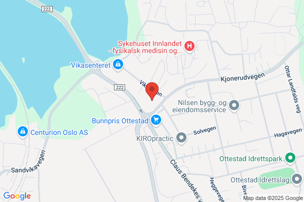 Profvet International As