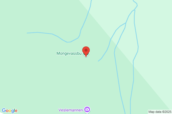 Rauma Gruppen As