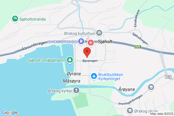 Økonomiservice As