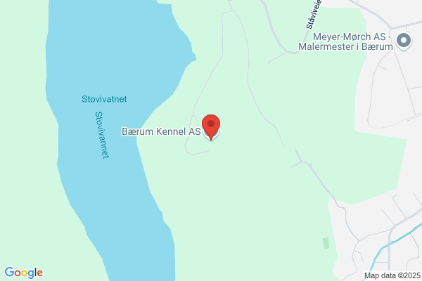 Bærum Kennel As