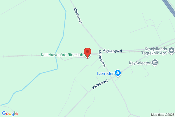 Kalles Rideskole K F Kjelstrup