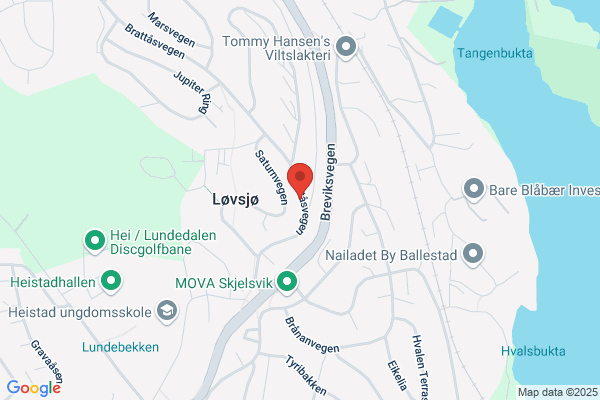 Meny-skjelsvik