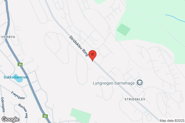 Huldresølv As