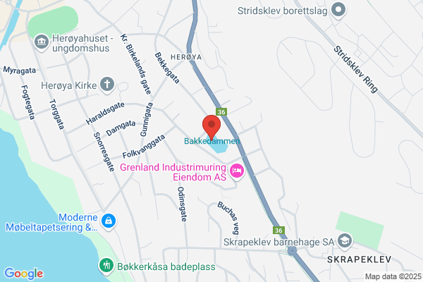 Bakkedammen As