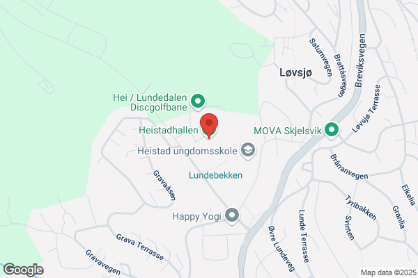 Heistadhallen