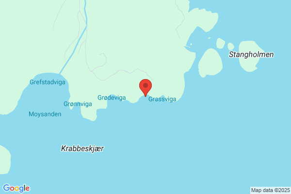 Flåskjer Yngve