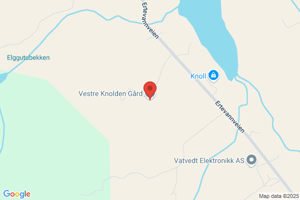 Den Blå Hesten
