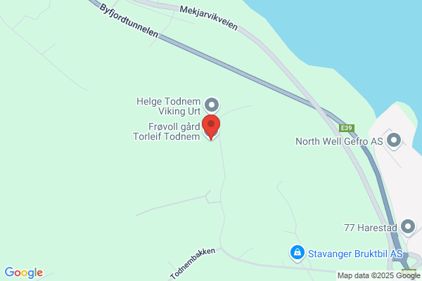 Fjermedal Torstein