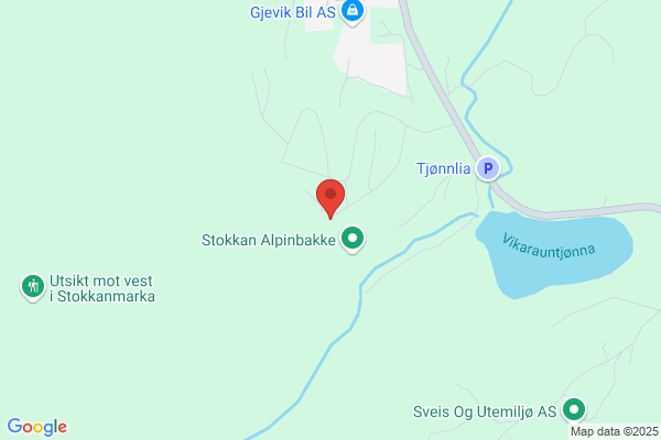 Antonsen Flyttetransport & Lagring As