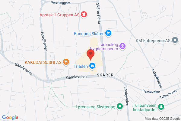 Snapp Service Triaden