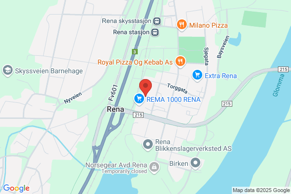 Rena Elektriske A/s