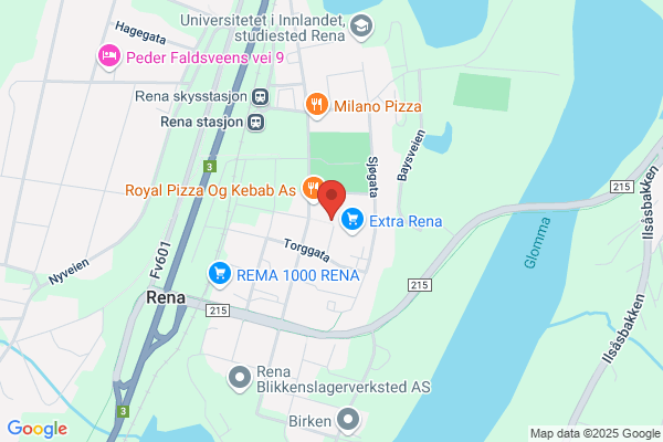 Rena Optiske