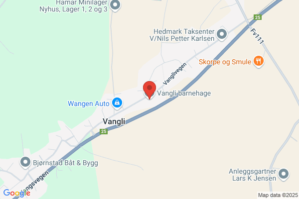 Vangli Service