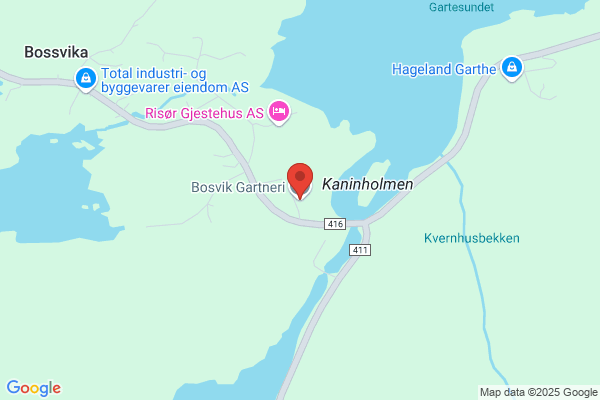 Bosvik As