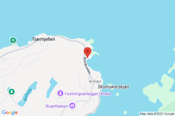 Risør Trebåtbyggeri A/s