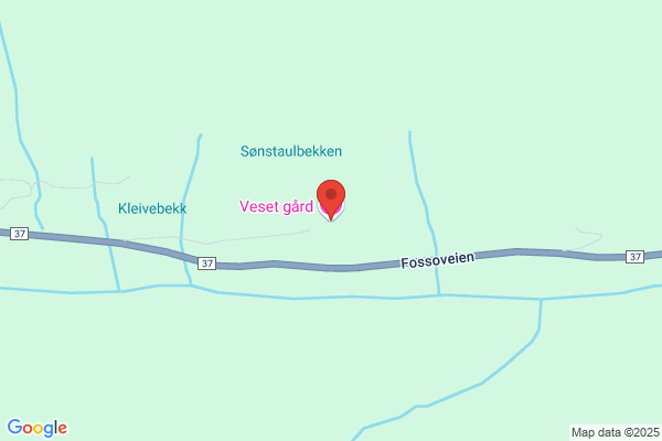 Grov Hølje