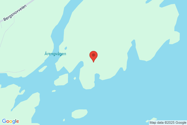 Nyheim Sølvi