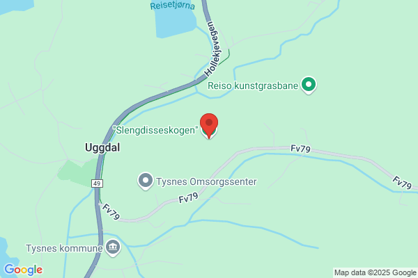 Skogen Oddgeir