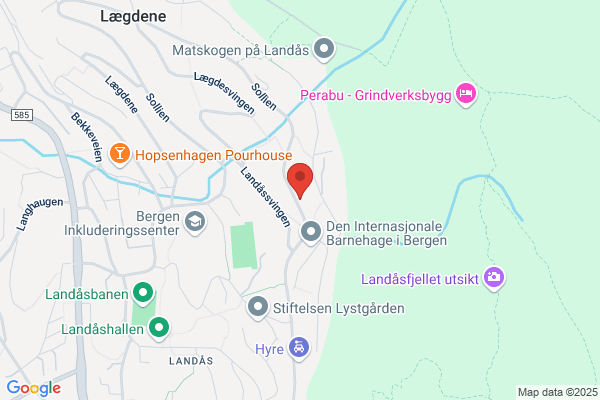 Torsvik Vidar Vik