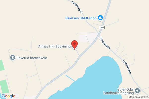 Alnæs HR-rådgvining