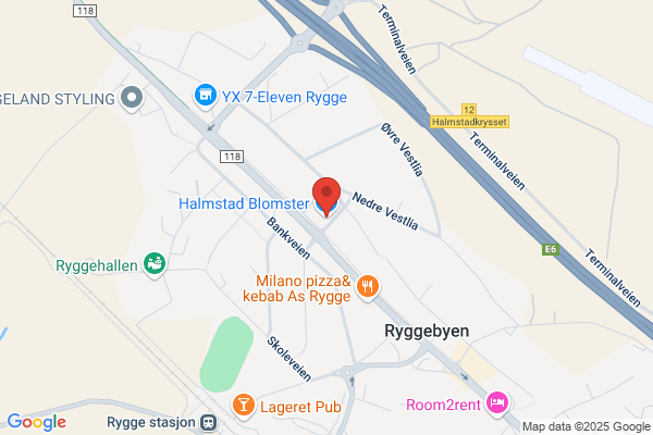 Halmstad Blomster Og Leker
