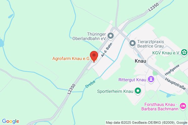 Knaggen