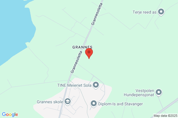 Hodne's Tor Eftf As